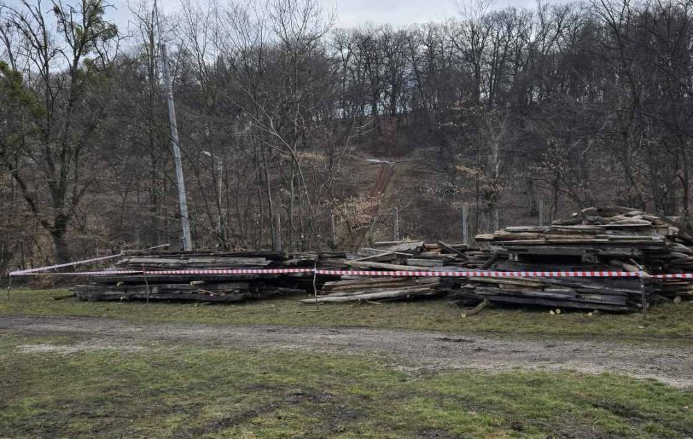 casa cămârzana4.jpg