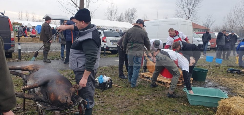 concurs taiat porci petresti (13).jpg