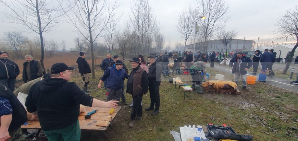 concurs taiat porci petresti (14).jpg