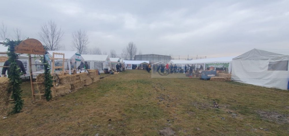 concurs taiat porci petresti (16).jpg