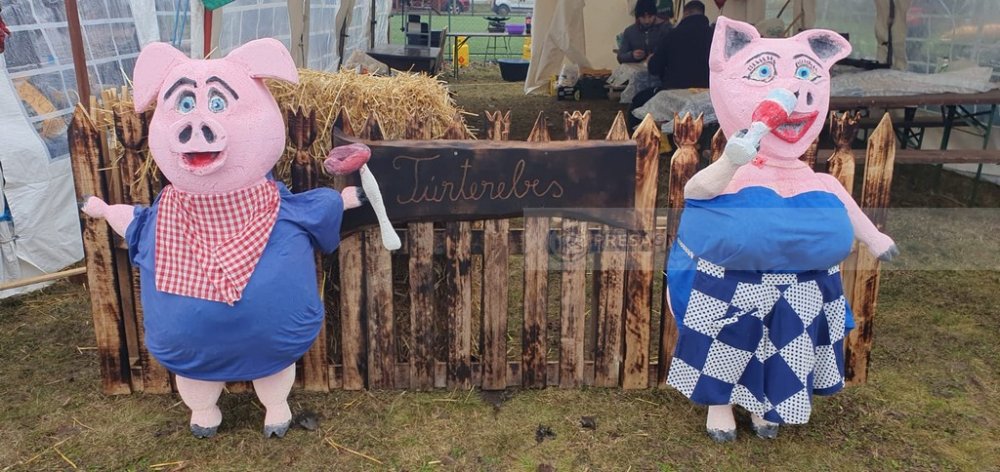 concurs taiat porci petresti (6).jpg