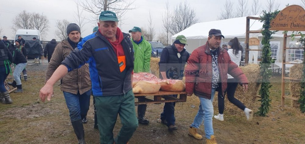 concurs taiat porci petresti (9).jpg