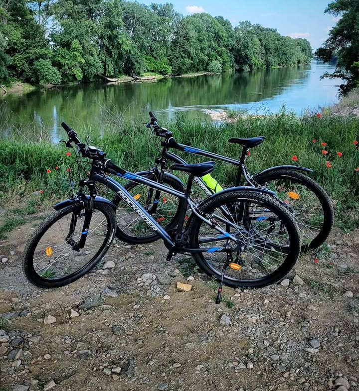 furt biciclete (2).jpg