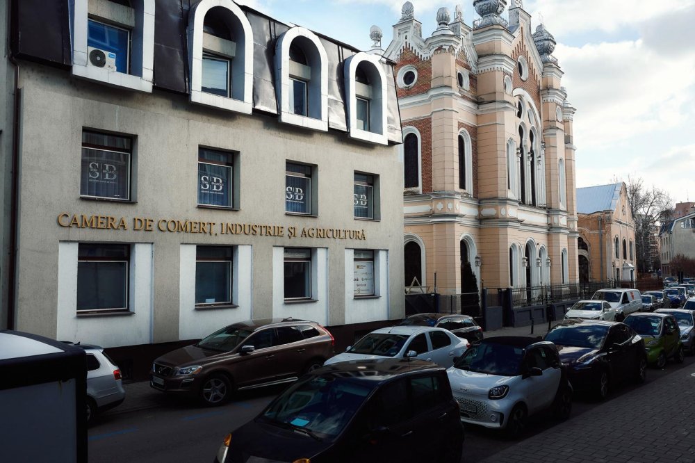 stan baculescu (1).jpeg