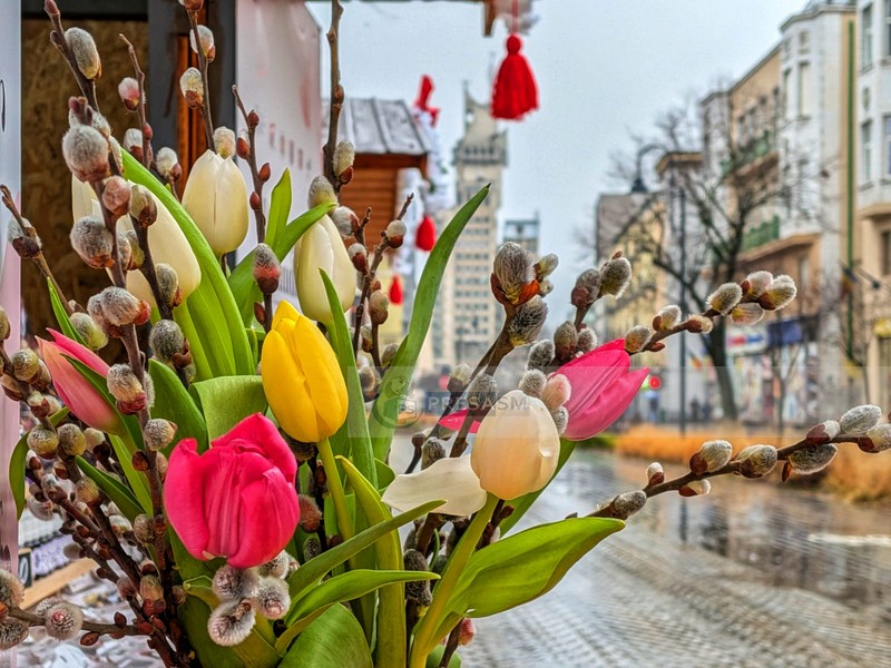 targ de martisoare satu mare (12).jpg