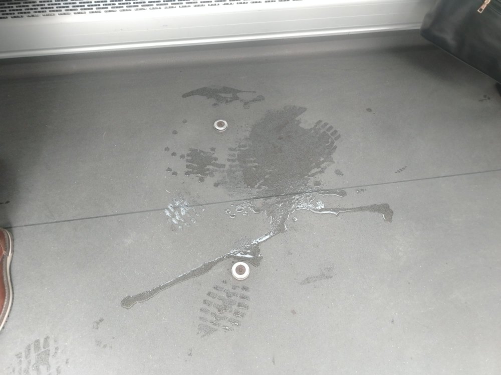 FOTO. Transurban, mesaj ferm către proprietarii de câini. Călătorii, obligați să suporte mirosurile