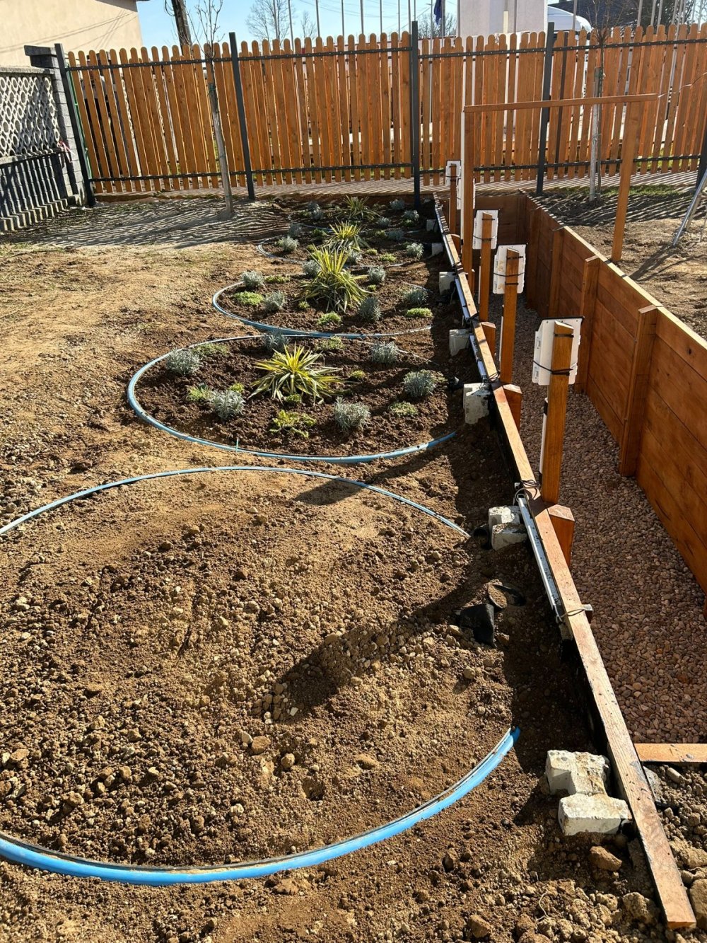 Grădina de ploaie (1).jpg