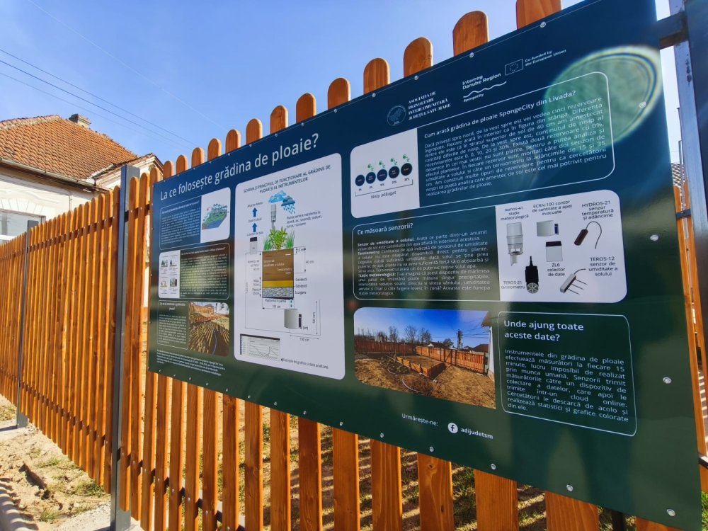 Grădina de ploaie (2).jpg