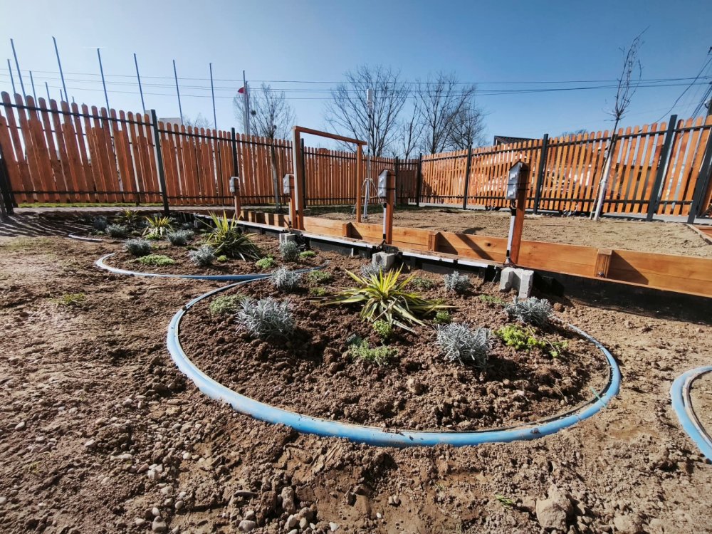 Grădina de ploaie (5).jpg