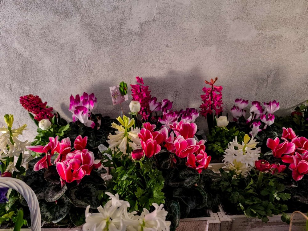 SERELE JULVIK (10).jpeg