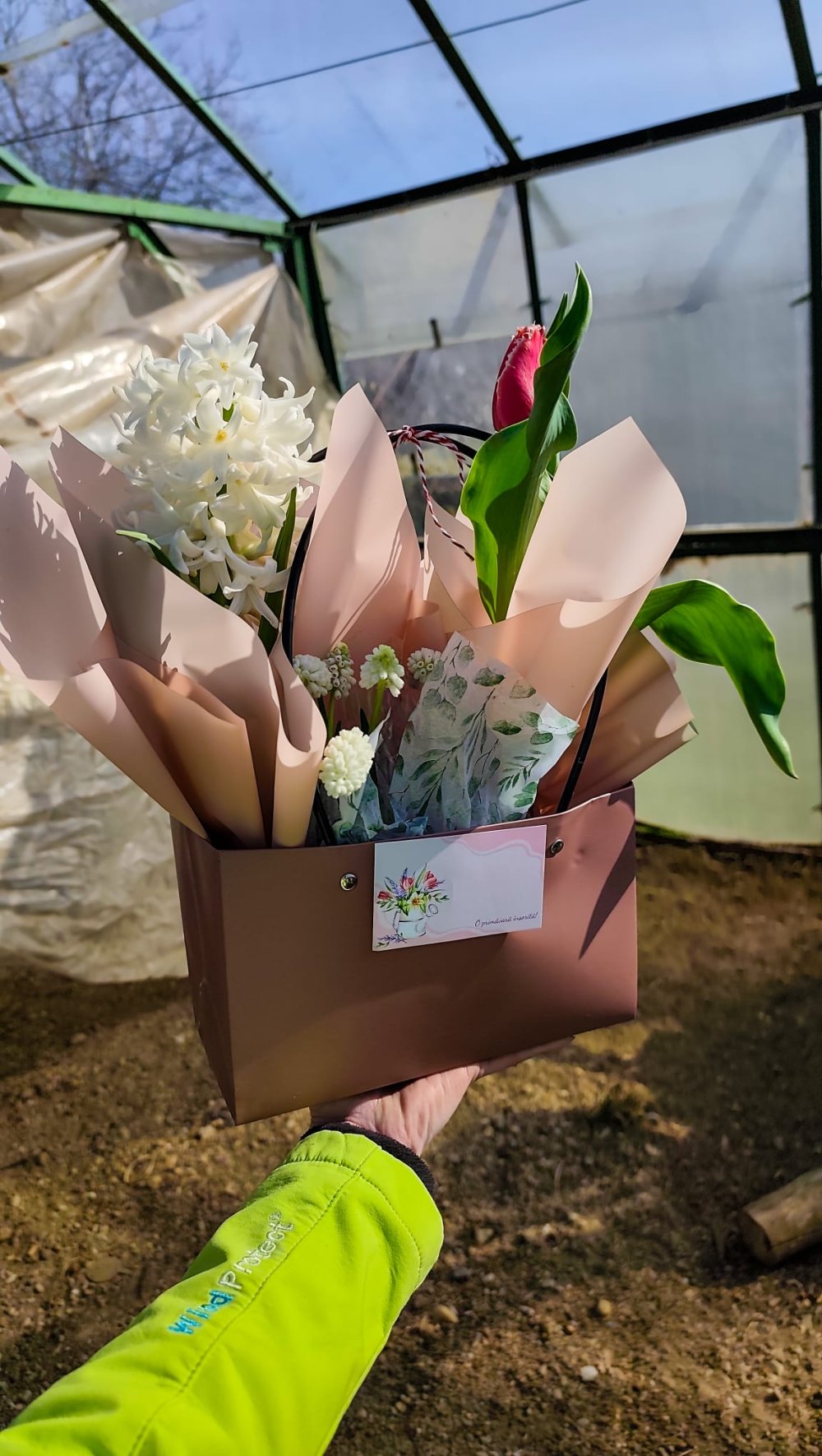 SERELE JULVIK (12).jpeg