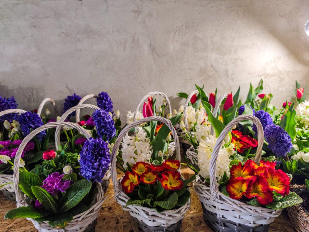 SERELE JULVIK (13).jpeg