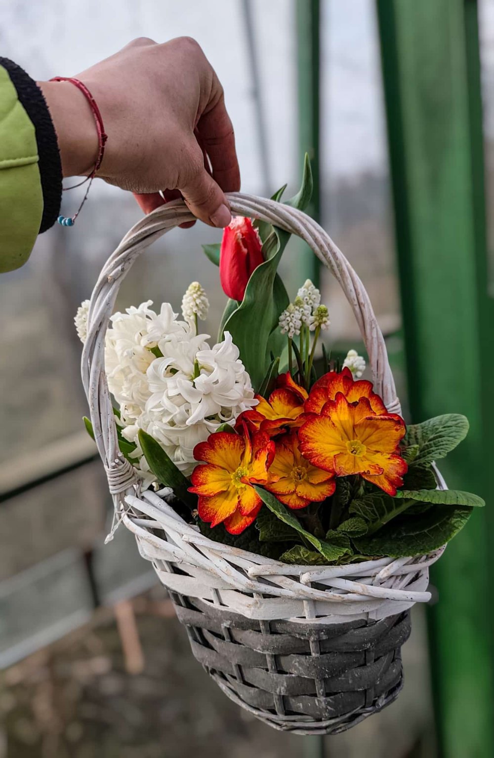 SERELE JULVIK (14).jpeg