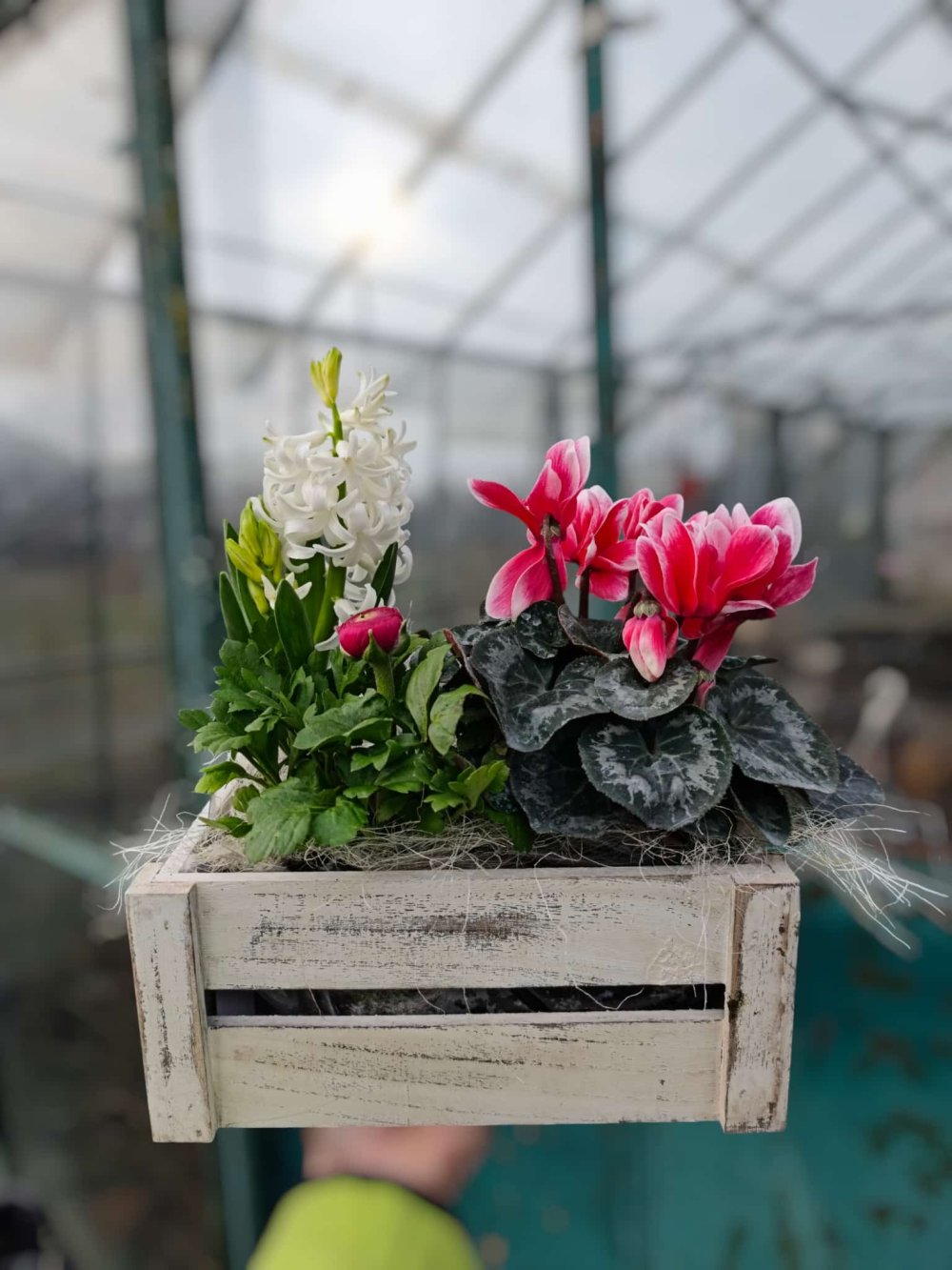 SERELE JULVIK (15).jpeg