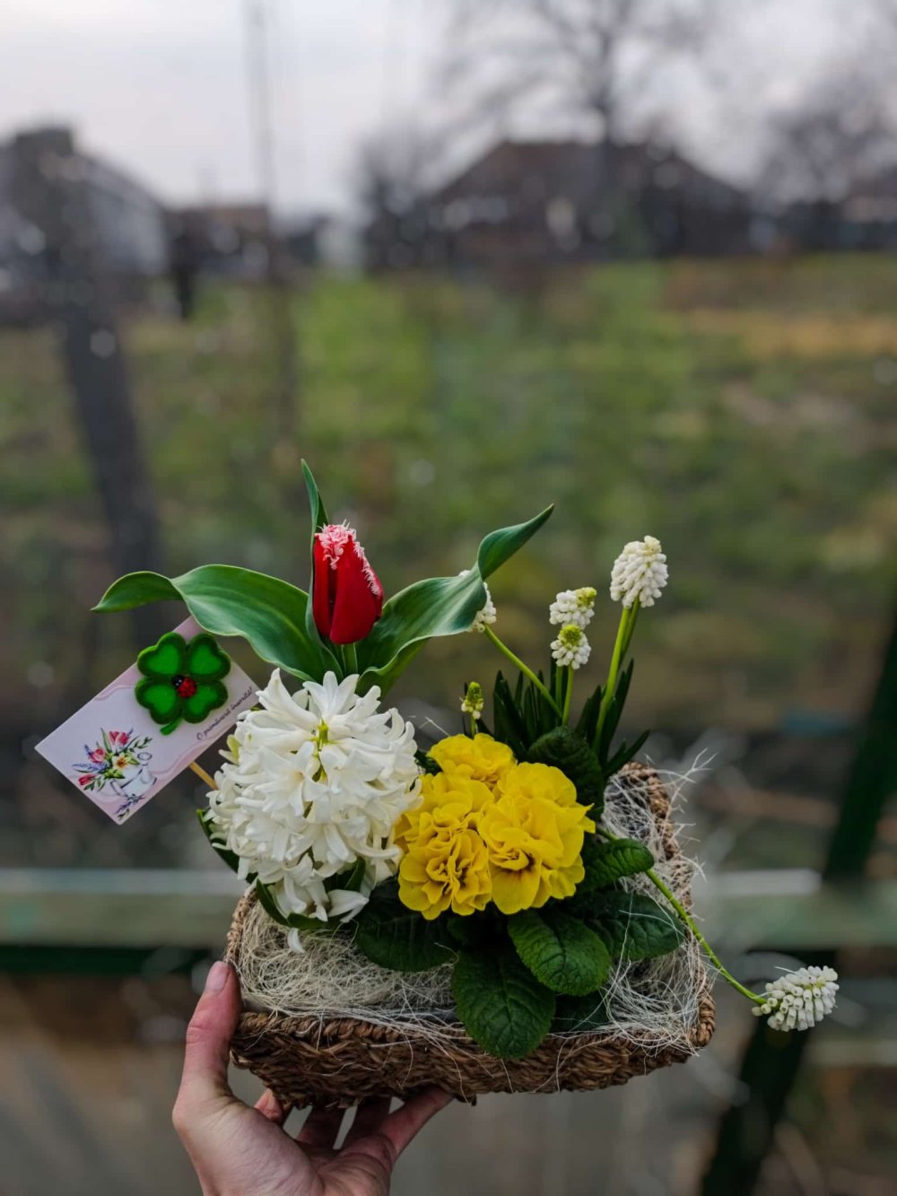 SERELE JULVIK (16).jpeg