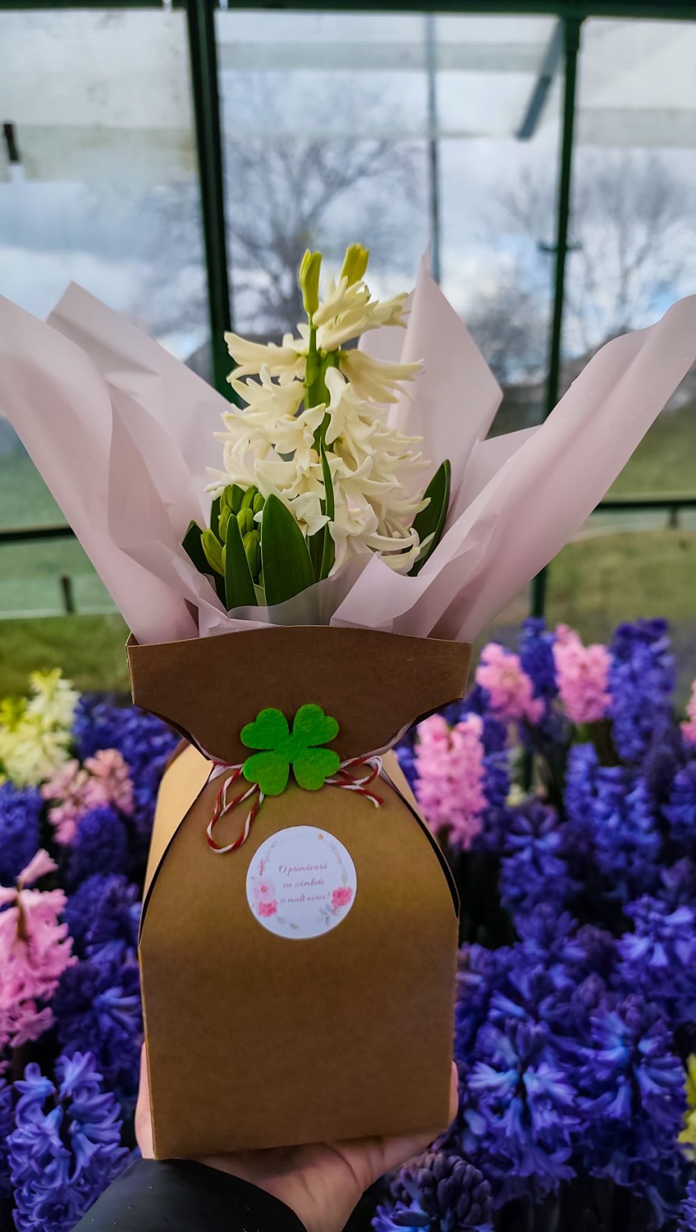 SERELE JULVIK (4).jpeg