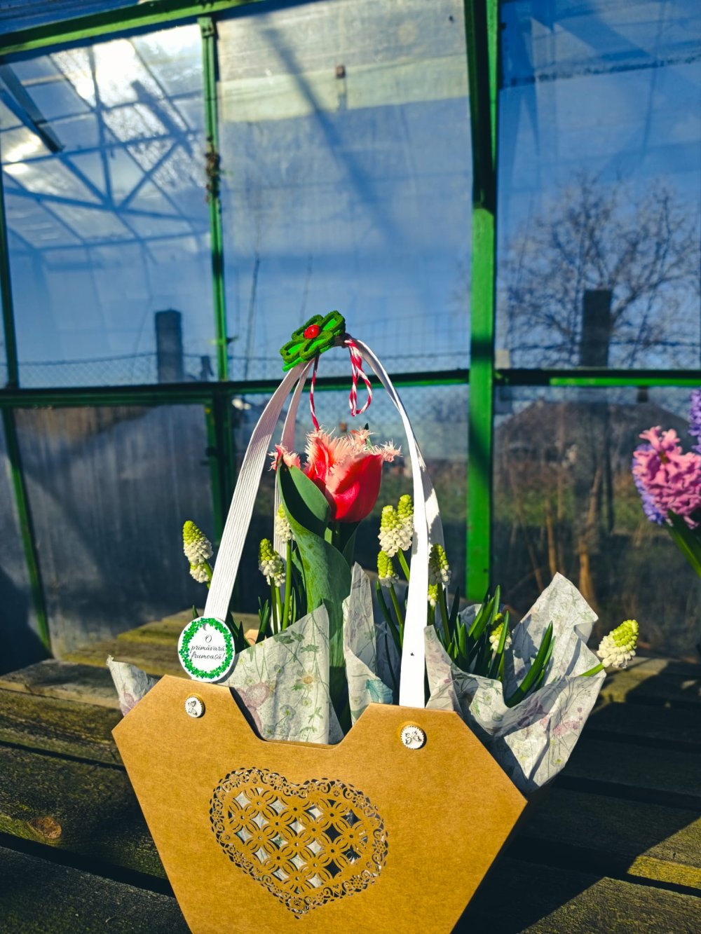 SERELE JULVIK (6).jpeg