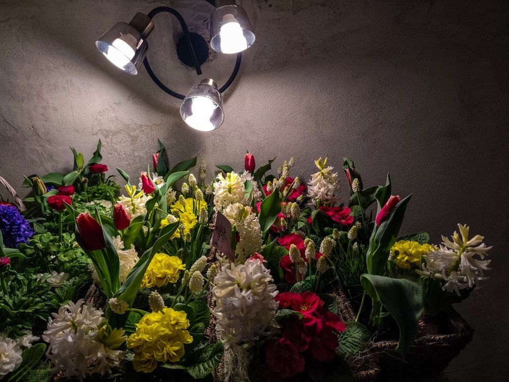 SERELE JULVIK (9).jpeg