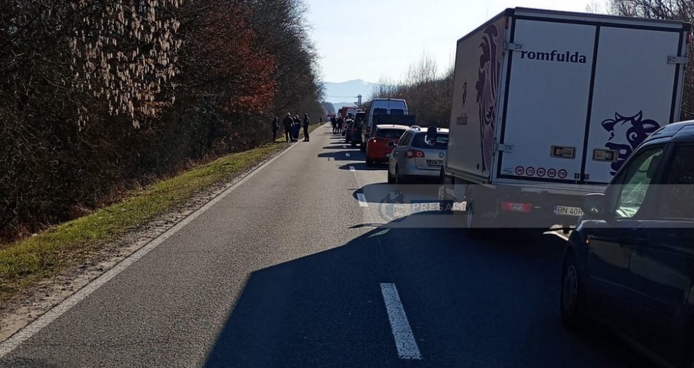 accident dn19 orasu nou livada copac cazut (1).jpg