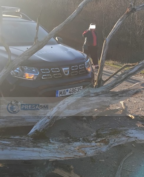 accident dn19 orasu nou livada copac cazut (2).jpg
