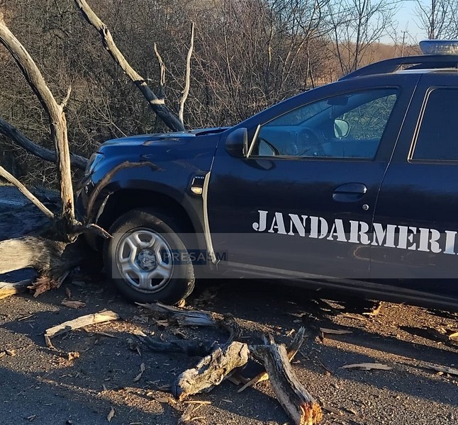 accident dn19 orasu nou livada copac cazut (3).jpg