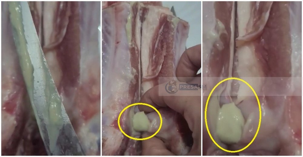 VIDEO. O sătmăreancă acuză: ”Carne cu puroi, cumpărată dintr-un mare magazin”. În realitate, ar fi ganglioni