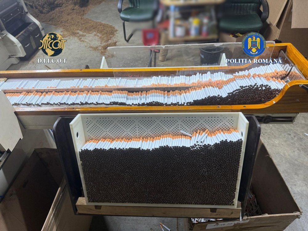 destructurare fabrica ilegala de tigari1.jpeg