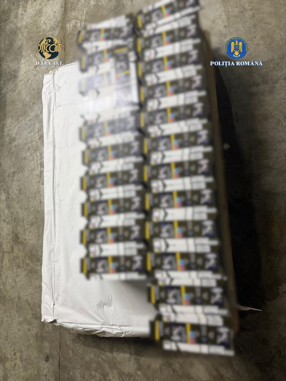 destructurare fabrica ilegala de tigari3.jpeg