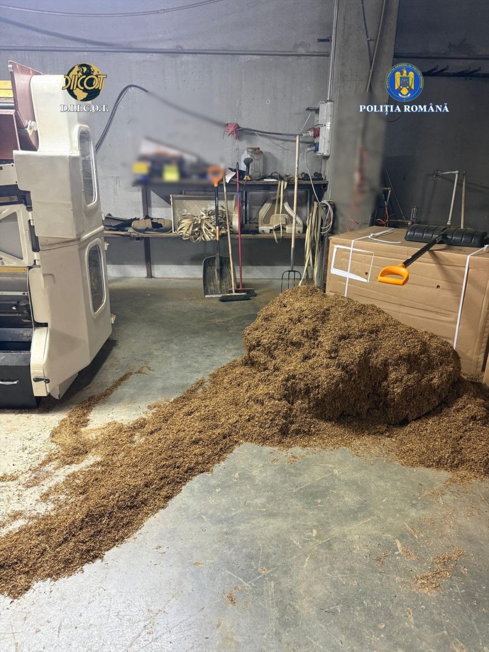 destructurare fabrica ilegala de tigari4.jpeg