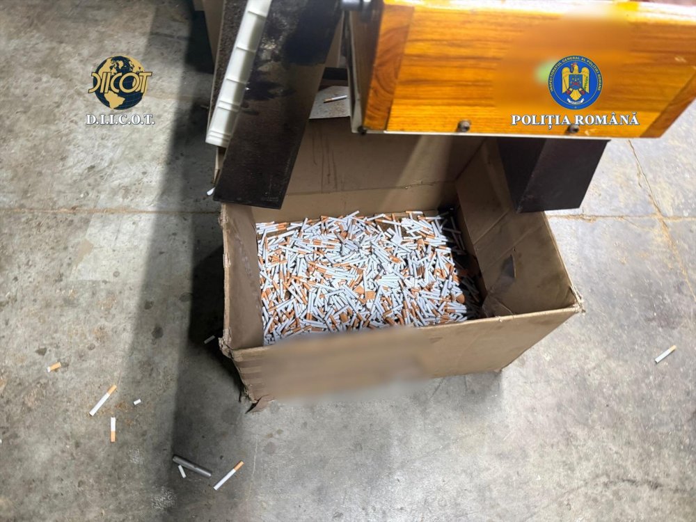 destructurare fabrica ilegala de tigari5.jpeg