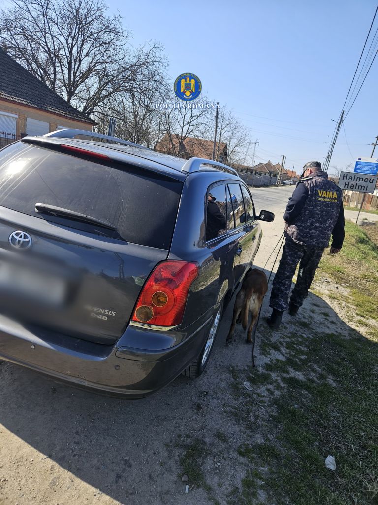 filtru poliție (1).jpeg