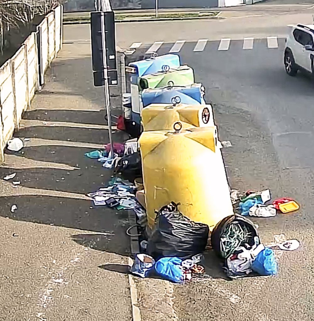 gunaoie aruncate ilegal1.jpg