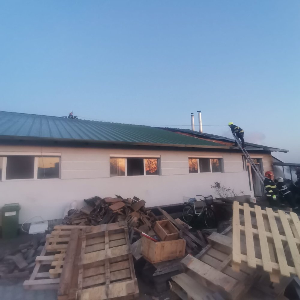 incendiu hala satu mare carei.jpg