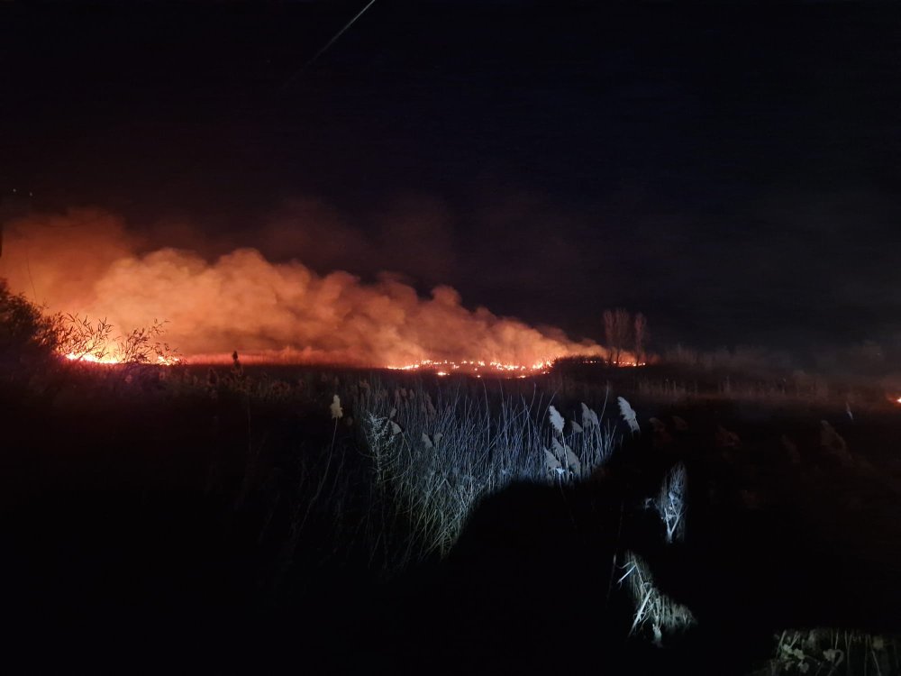 incendiu noaptea vegetatie pompieri (2).jpg