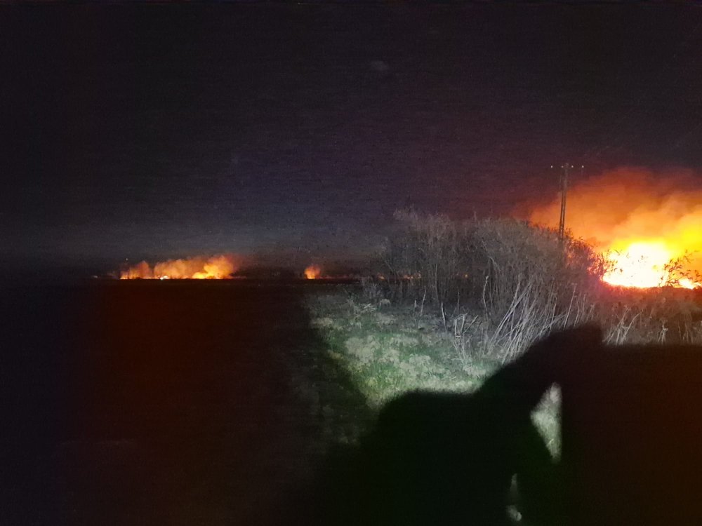 incendiu noaptea vegetatie pompieri (3).jpg