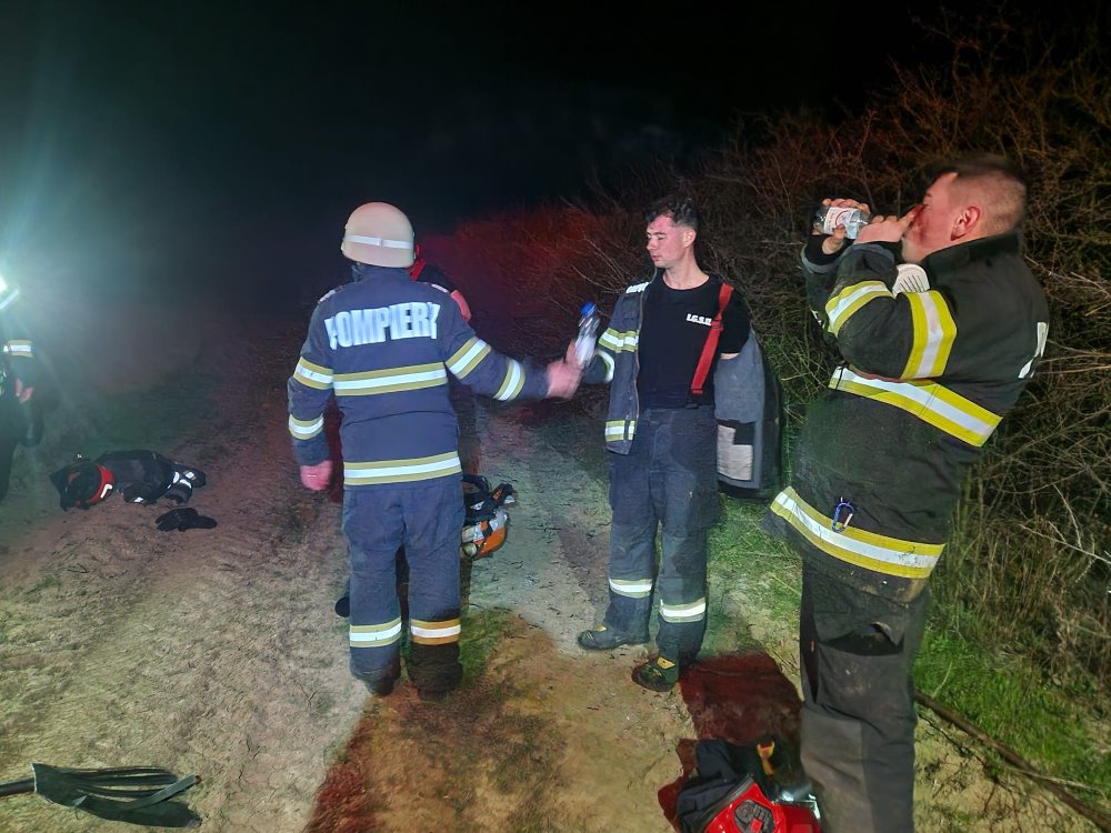 incendiu noaptea vegetatie pompieri (6).jpg