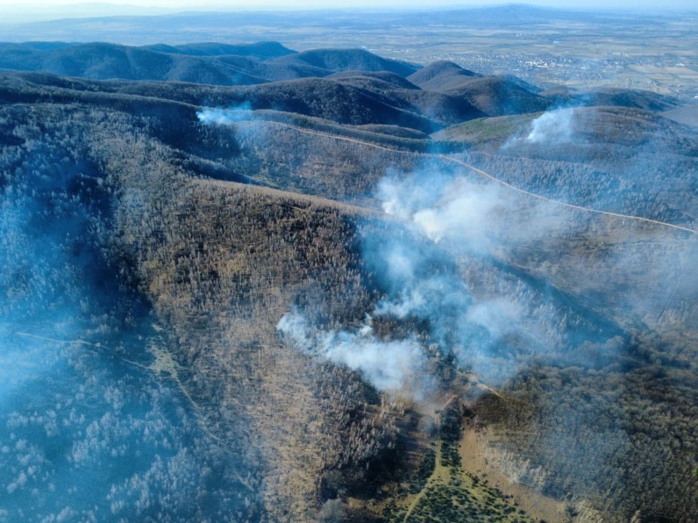 incendiu racsa 1.jpg