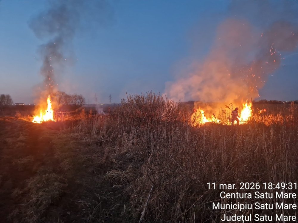 FOTO. Incendiatorii de profesie au distrus hectare întregi în județul Satu Mare. Amenzile sunt uriașe!