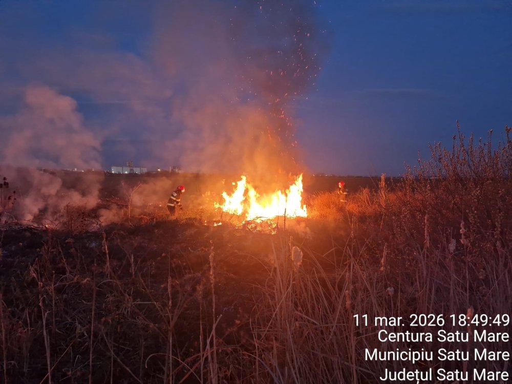 incendiu vegetatie (2).jpeg