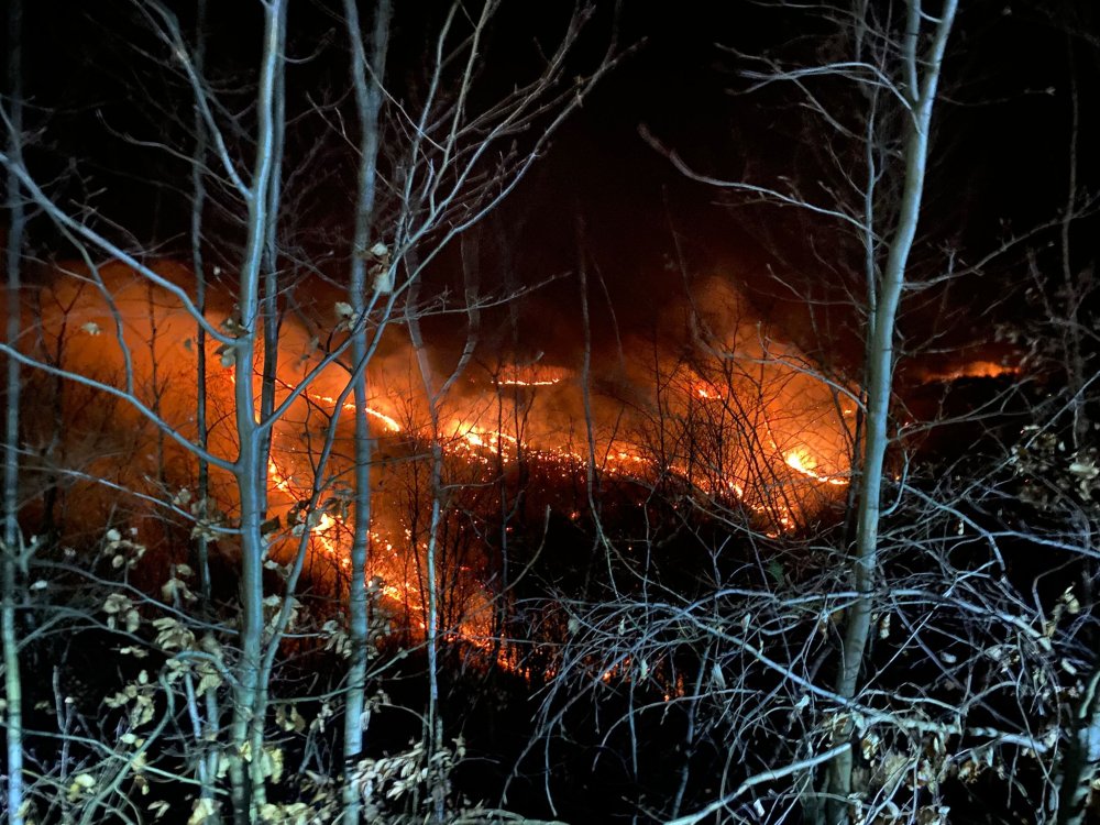 incendiu vegetatie noaptea (2).jpg