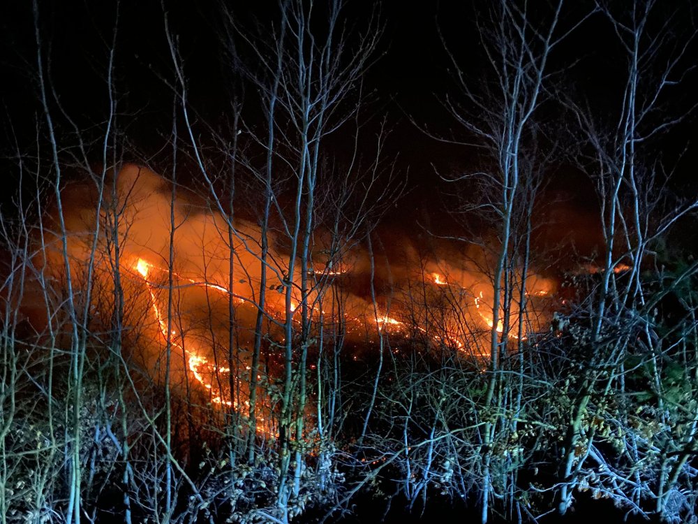 incendiu vegetatie noaptea (4).jpg