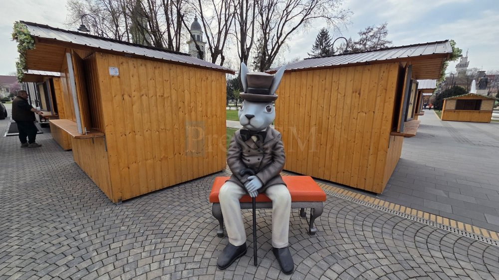 trenuletul iepurasului19.jpg