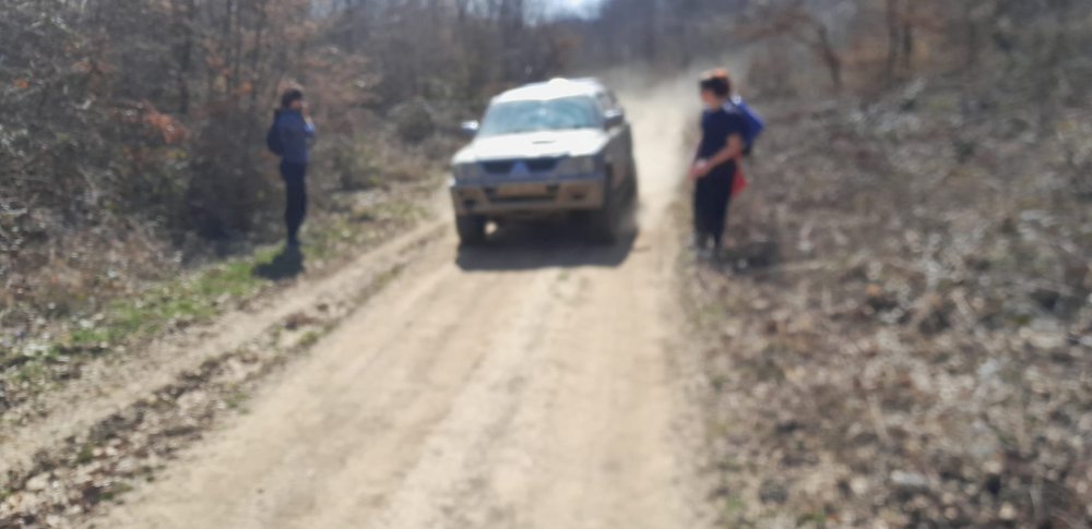 turisti codru masini atv-uri (4).jpg