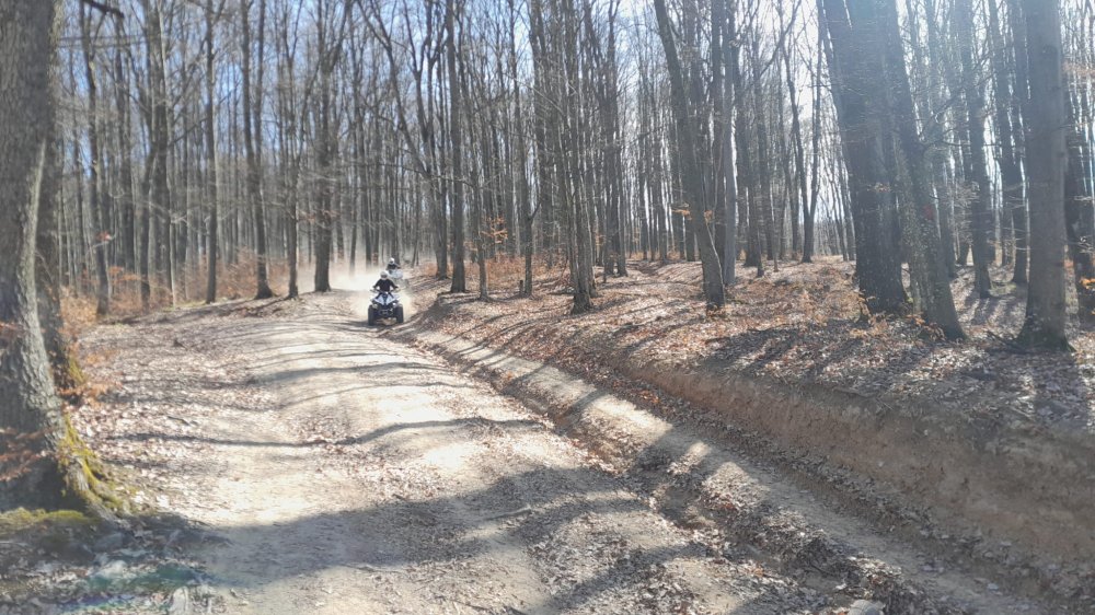 turisti codru masini atv-uri (8).jpg