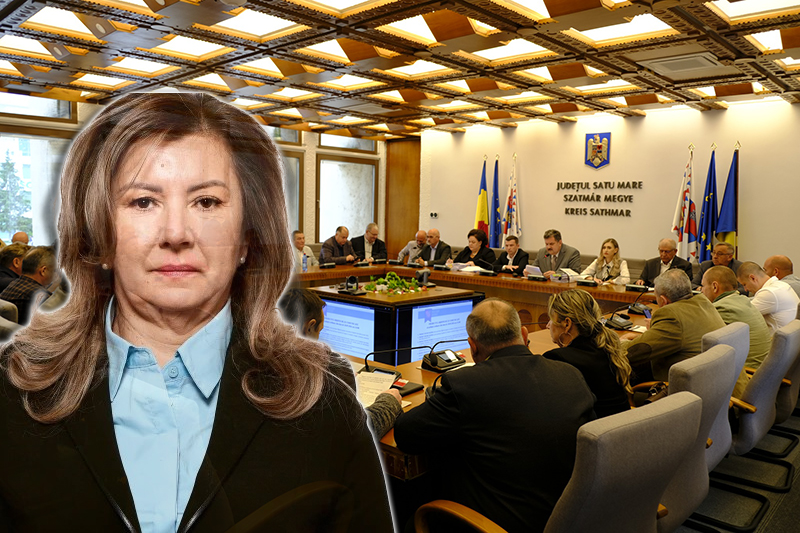VIDEO. Consiliera județeană Alina Ristea demască nobilimea bugetofagă din instituțiile publice din Satu Mare