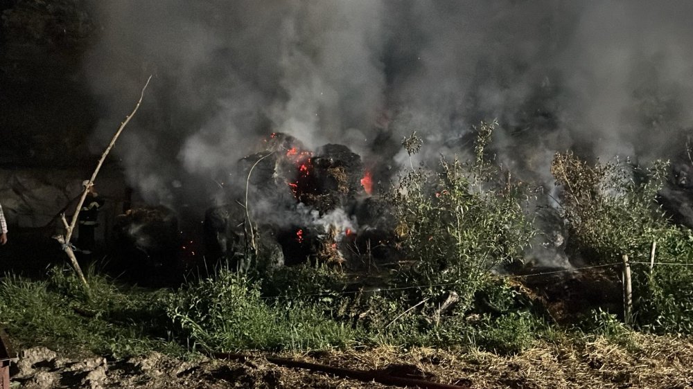 FOTO. Incendiu la o fermă din județul Satu  Mare. Cauza: una ignorată de mulți