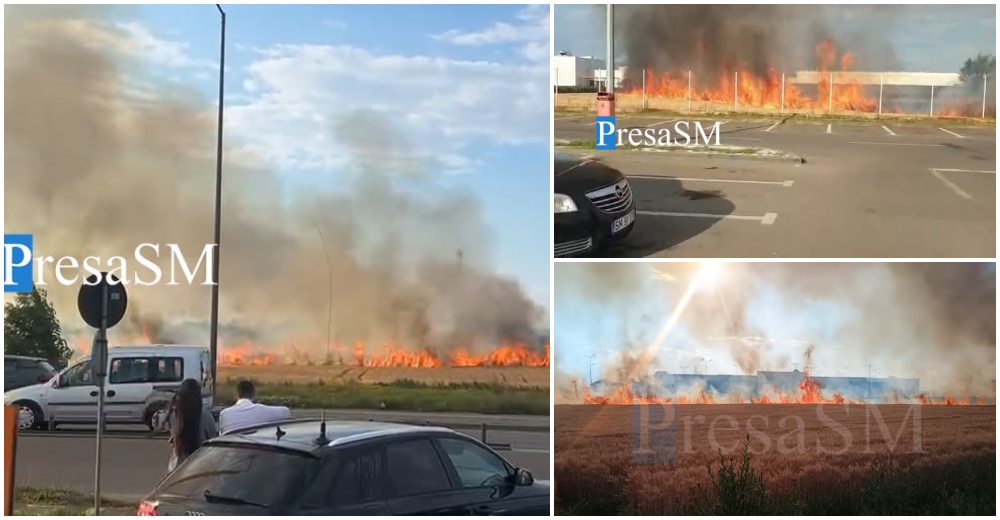 FOTO/VIDEO. A fost găsit sătmăreanul care a dat foc intenționat. Incendiu uriaș între Dedeman și Auchan, în Satu Mare