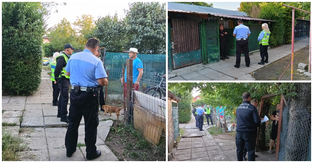 FOTOGALERIE. Controale de amploare în locuințele sociale din Satu Mare. Ce a găsit Poliția Locală și ce amenzi s-au dat